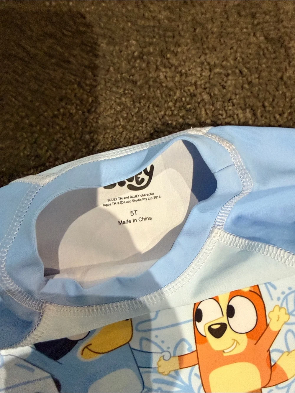 Bluey 'Let's Explore' Light Blue Kids Pajama Set Sz 5T